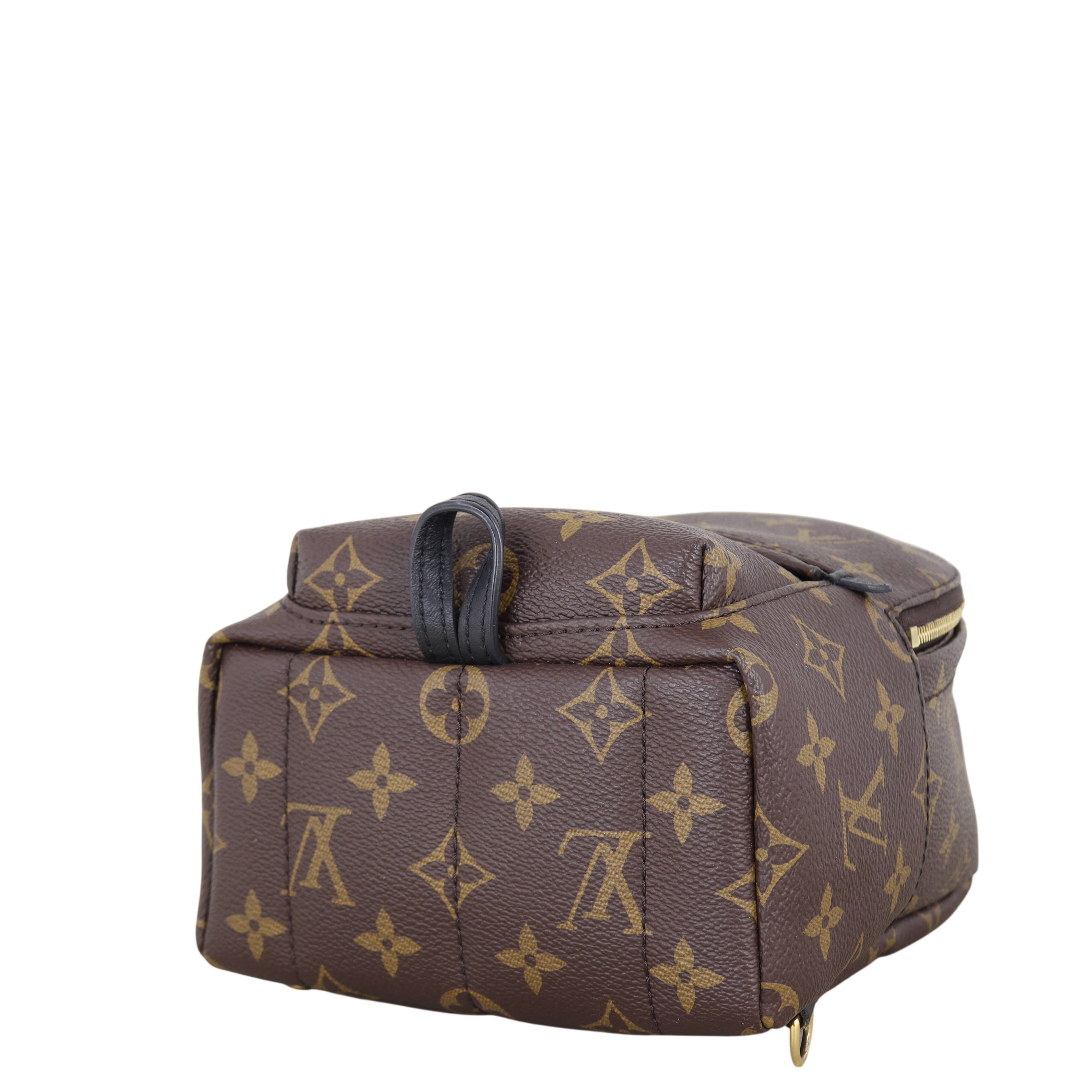 Louis Vuitton Palm Springs Mini Backpack Monogram