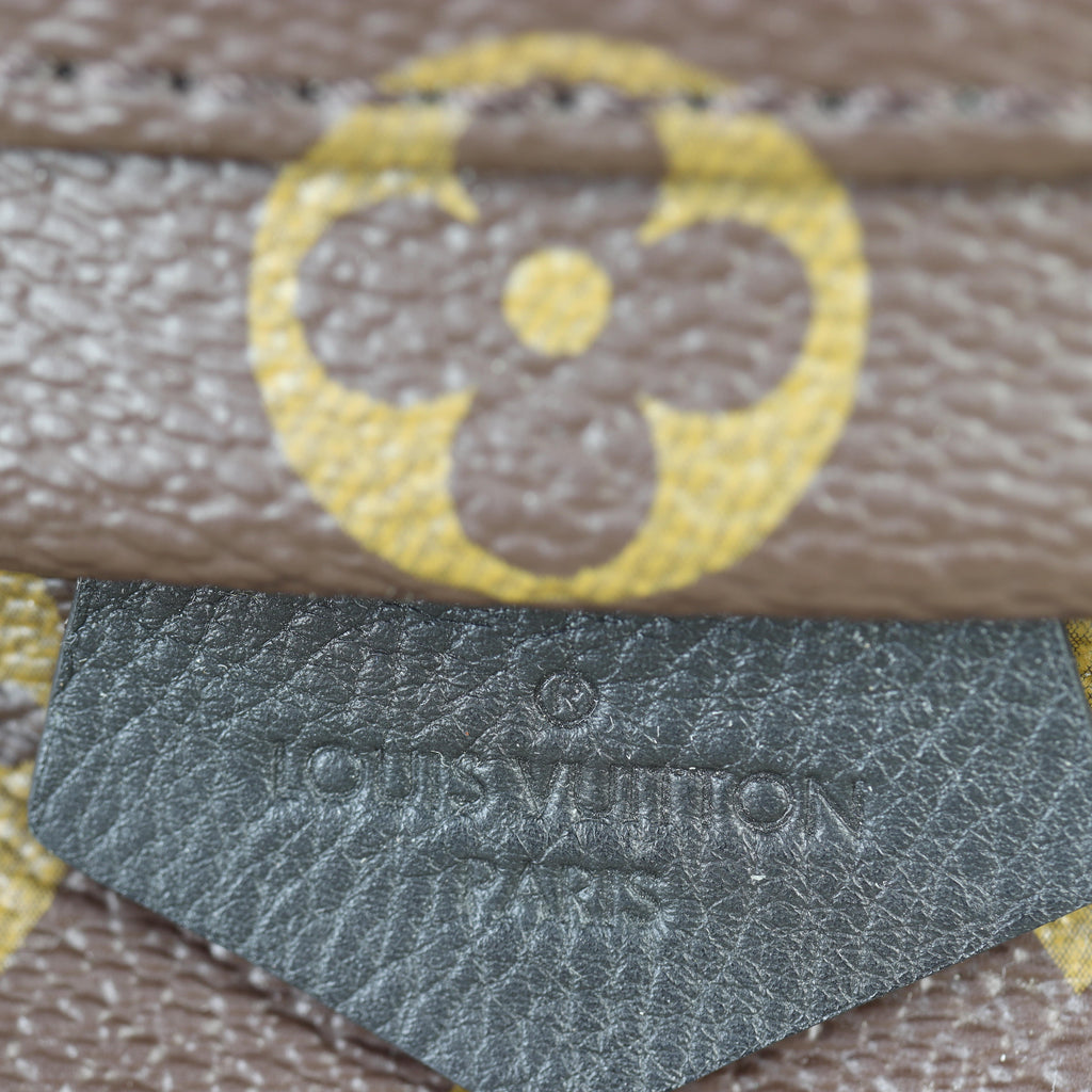 Louis Vuitton Palm Springs Mini Backpack Monogram