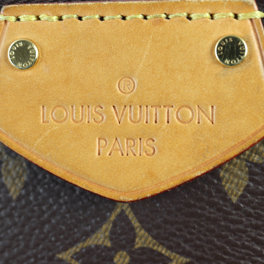 Louis Vuitton Turenne MM Monogram