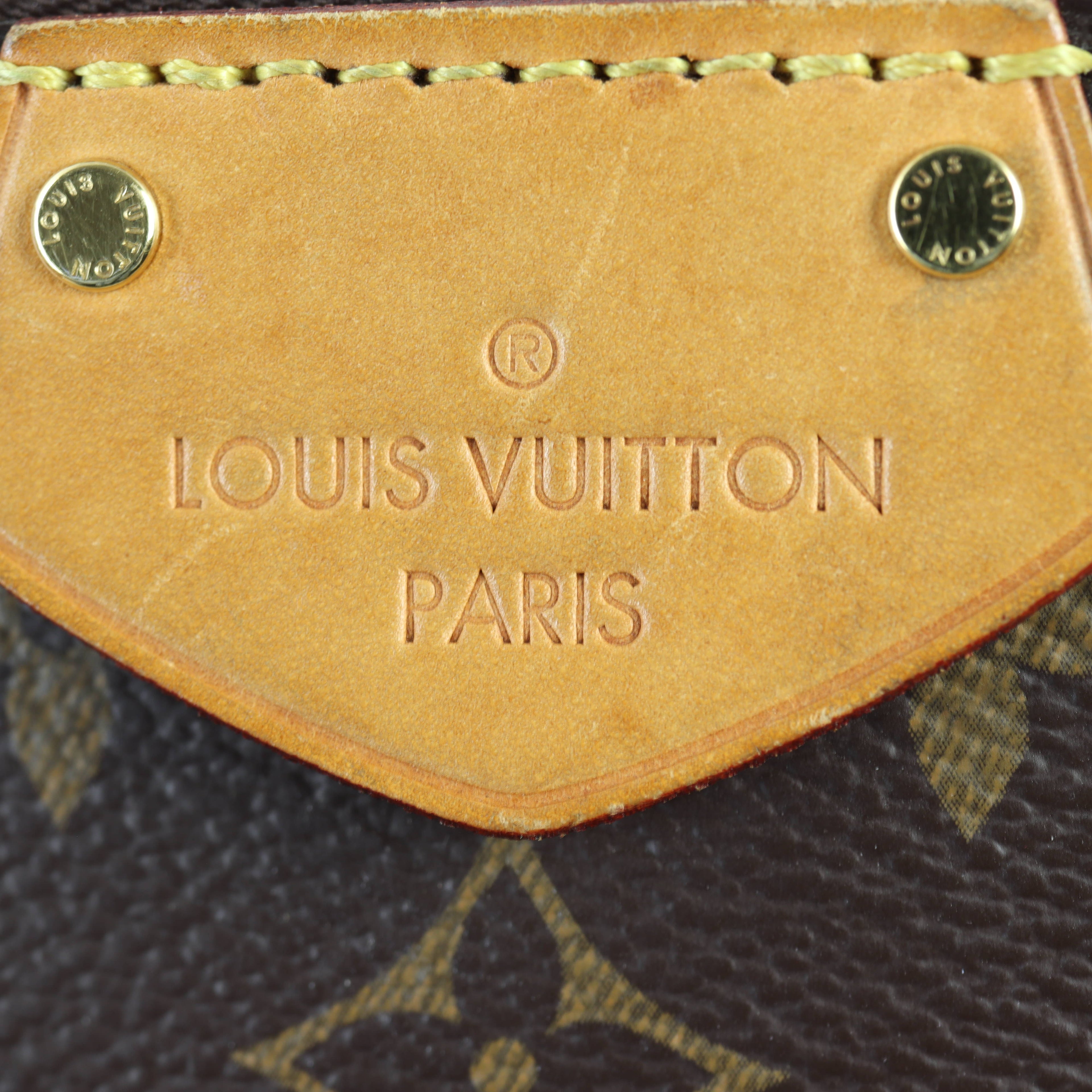 Louis Vuitton Turenne MM Monogram