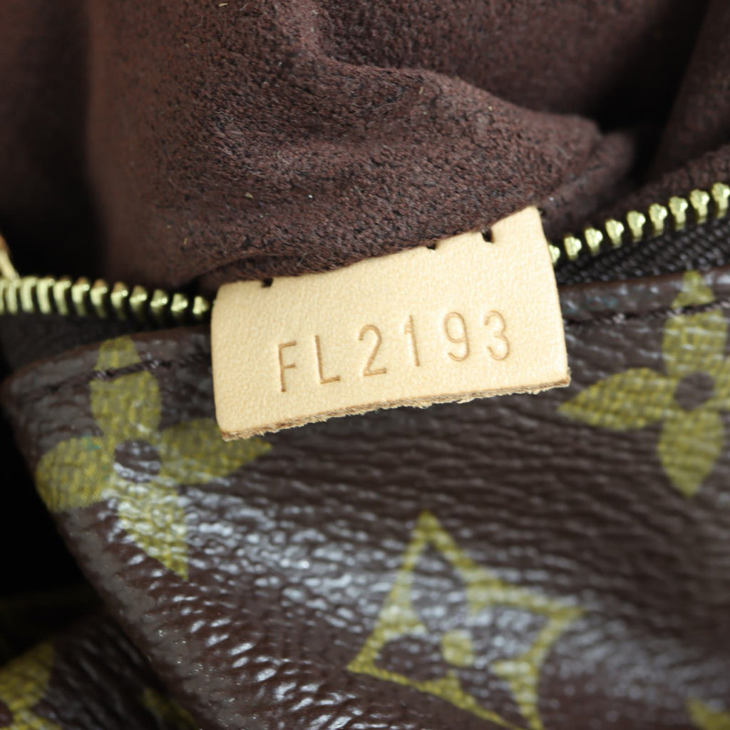 Louis Vuitton Metis Hobo Monogram