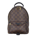 Louis Vuitton Palm Springs Backpack PM Monogram