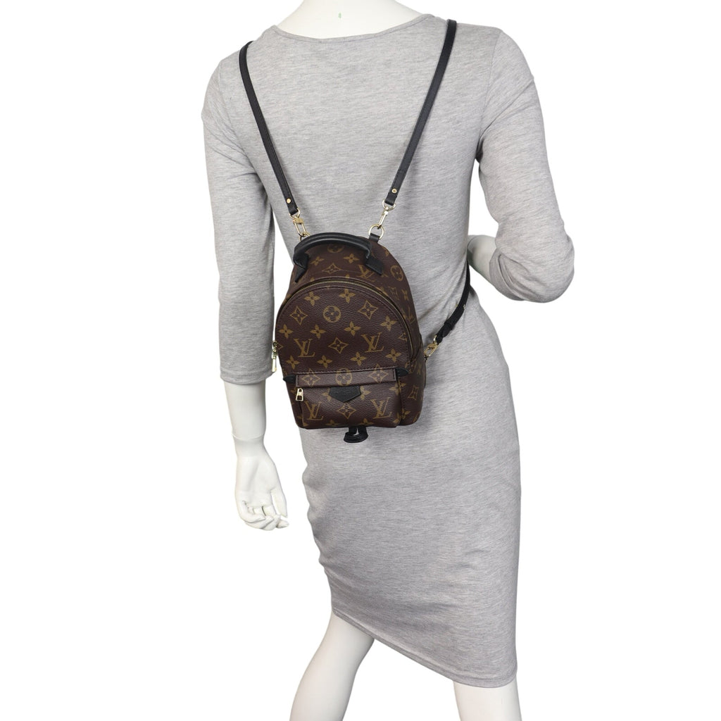 Louis Vuitton Palm Springs Mini Backpack Monogram