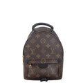 Louis Vuitton Palm Springs Mini Backpack Monogram