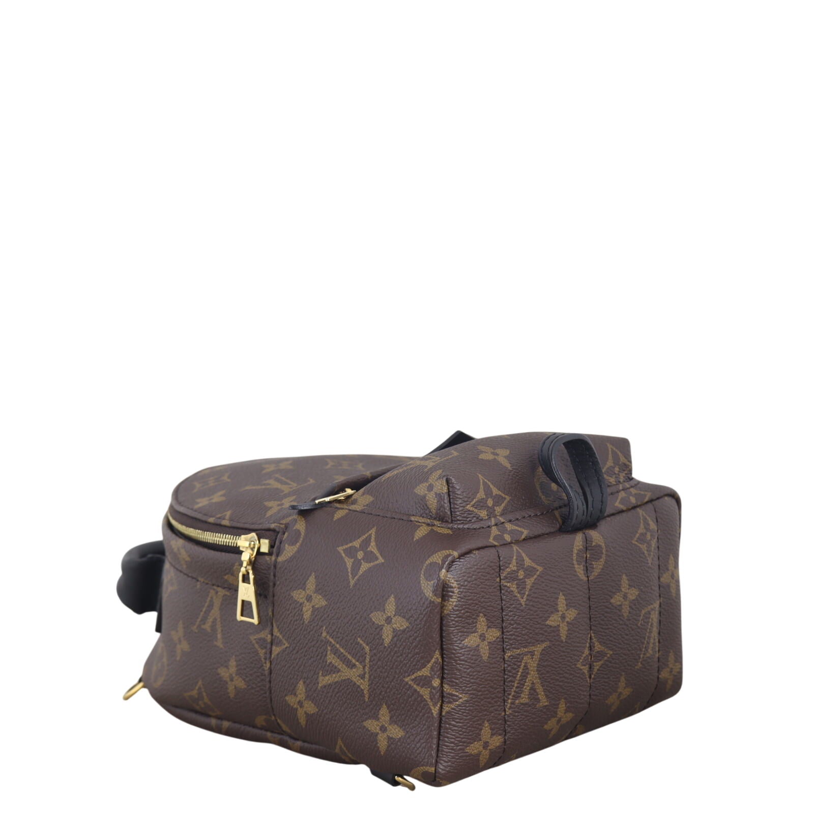 Louis Vuitton Palm Springs Mini Backpack Monogram