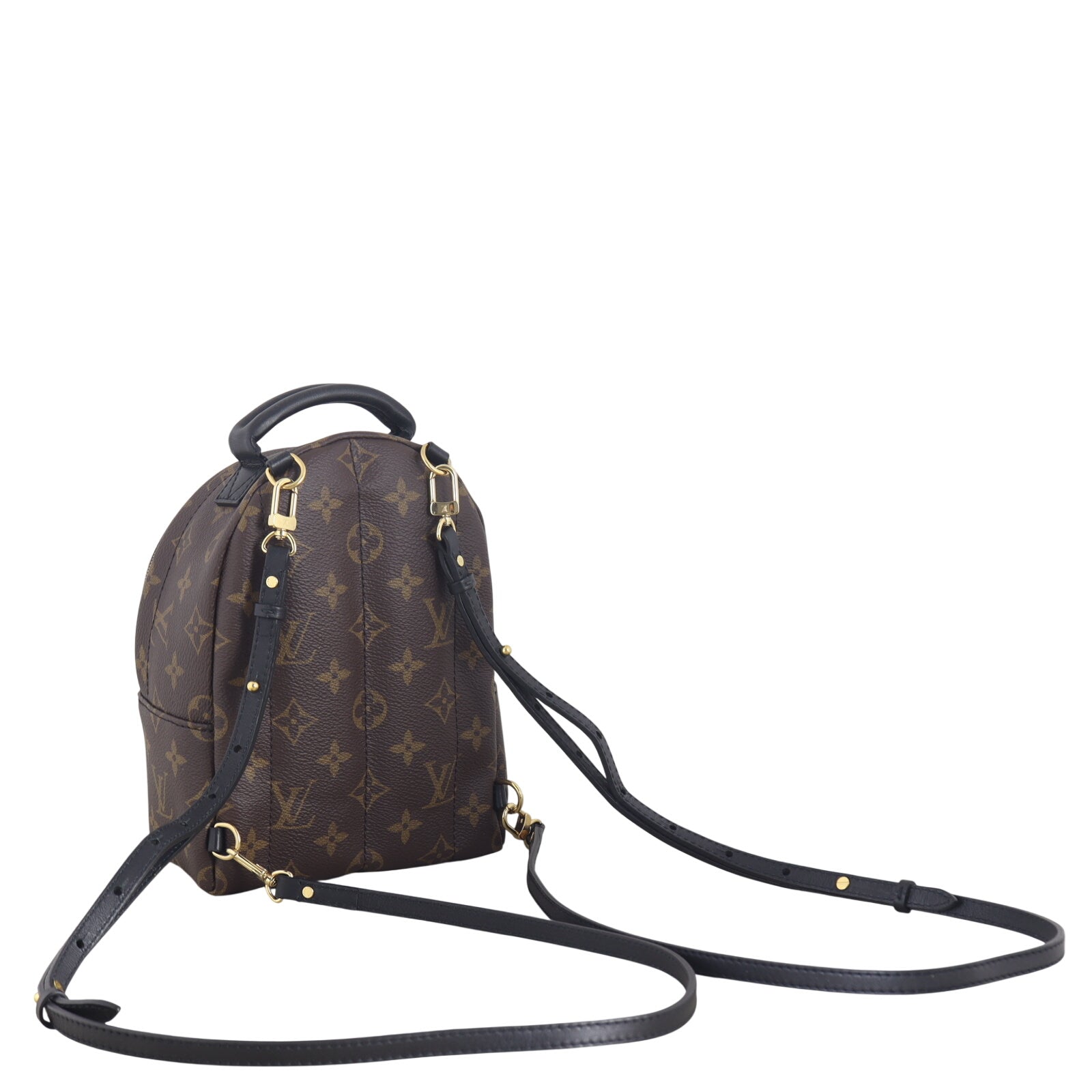 Louis Vuitton Palm Springs Mini Backpack Monogram