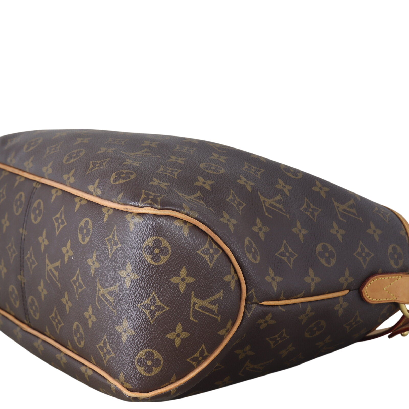 Louis Vuitton Delightful PM Monogram