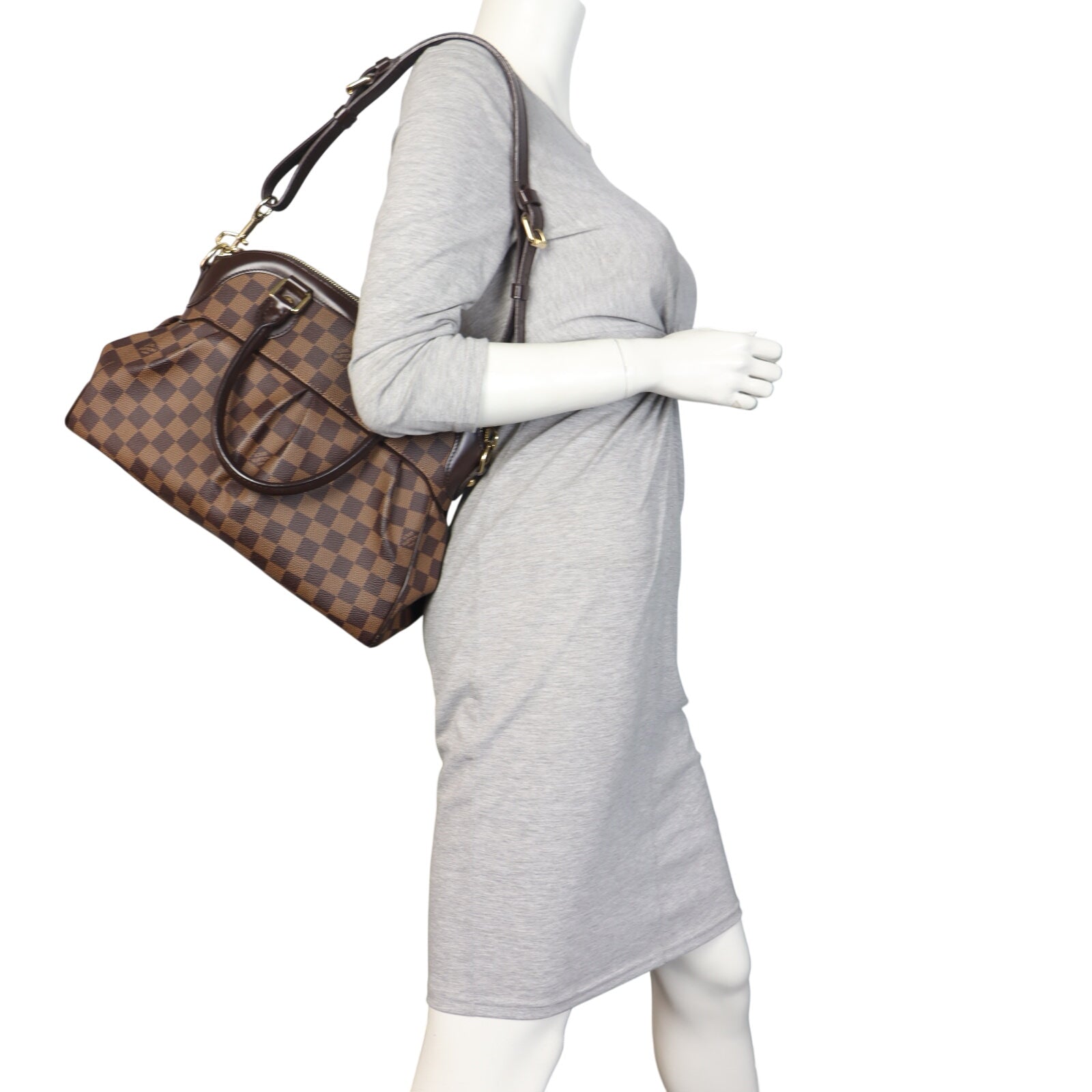 Louis Vuitton Trevi PM Damier Ebene