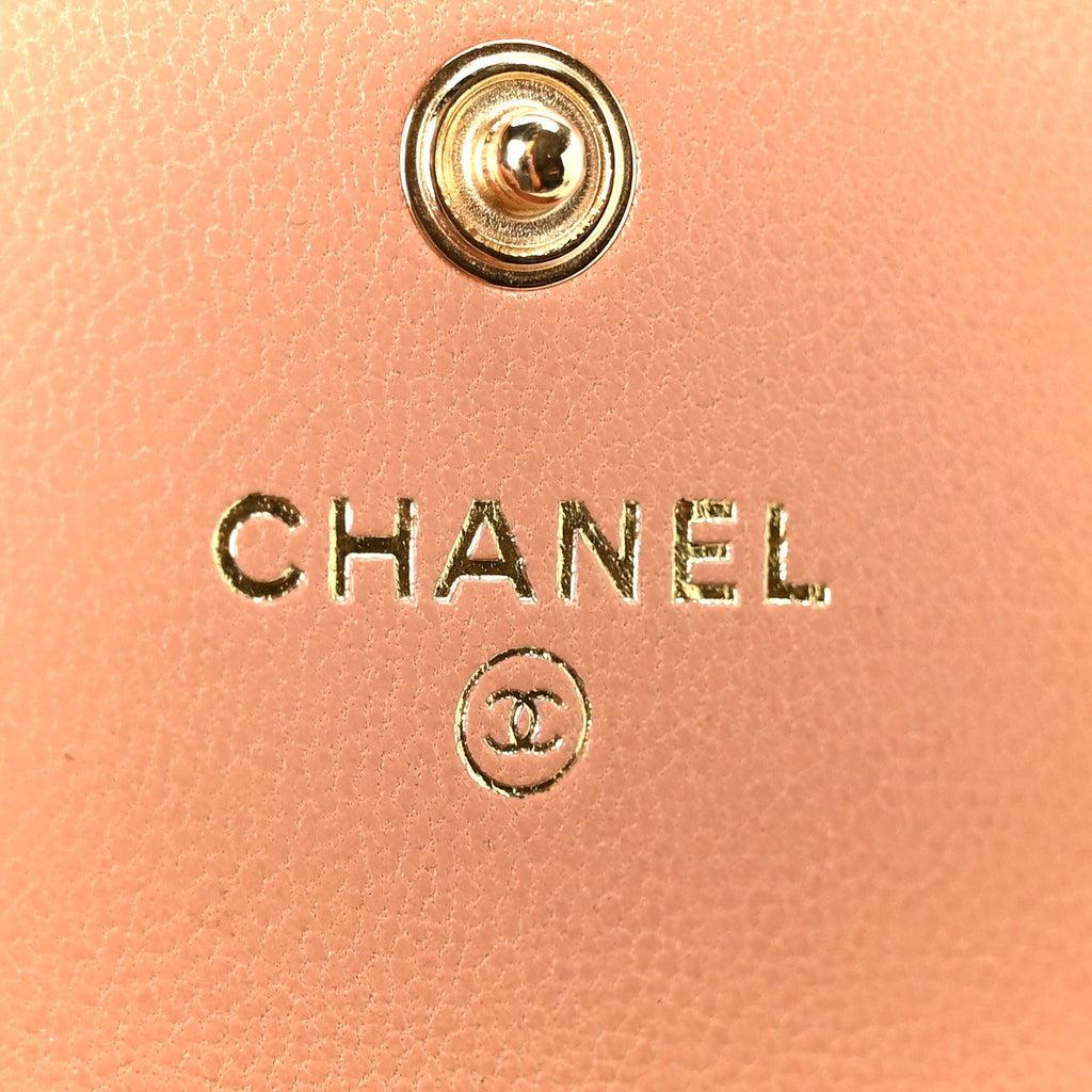 Lambskin Quilted Chanel 19 Flap  Holder Brown