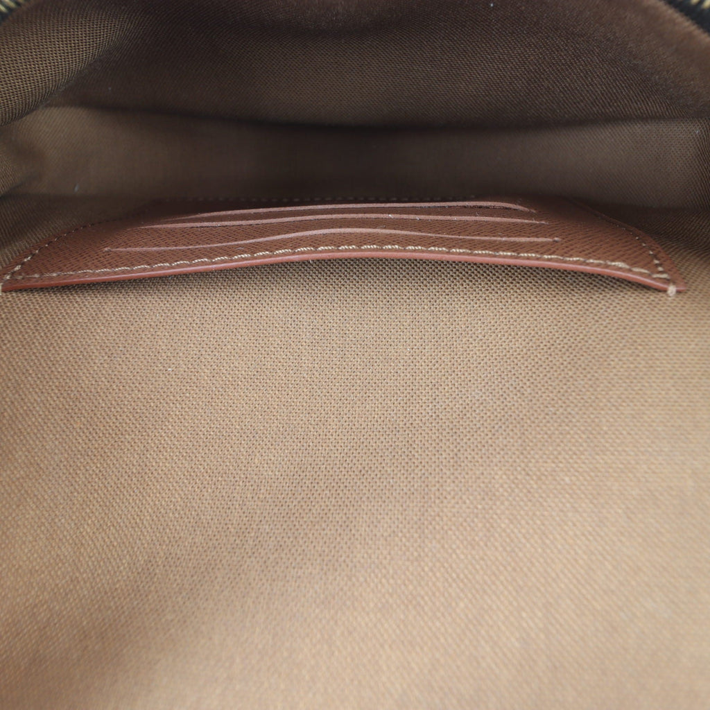 Louis Vuitton Ivy Wallet on Chain Monogram