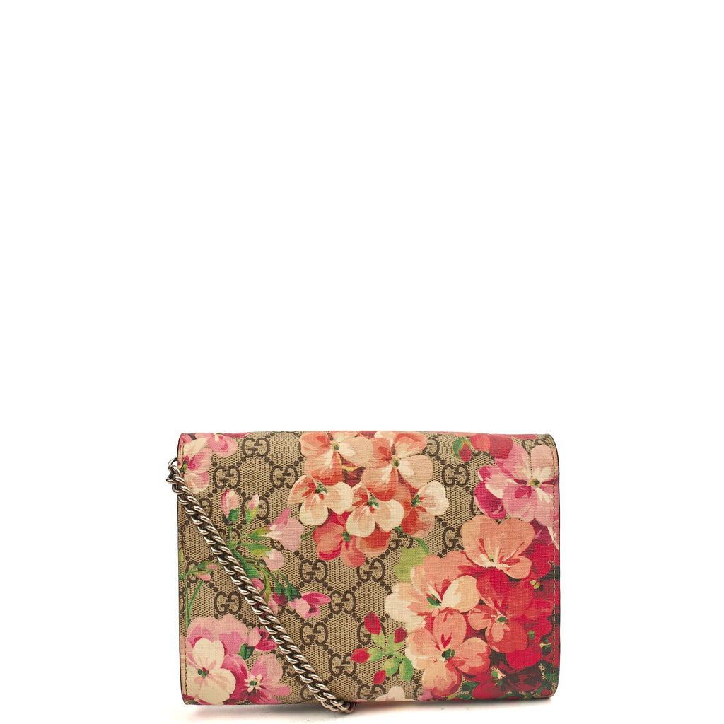 Gucci Cross Body Dionysus Chain Wallet in Brown, Leather