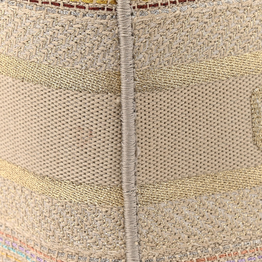 Canvas Embroidered Medium Lady D-Lite Beige Multicolor