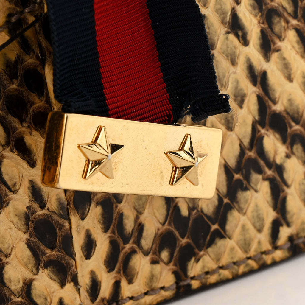 Snakeskin Mini Sylvie Chain Shoulder Bag Roccia