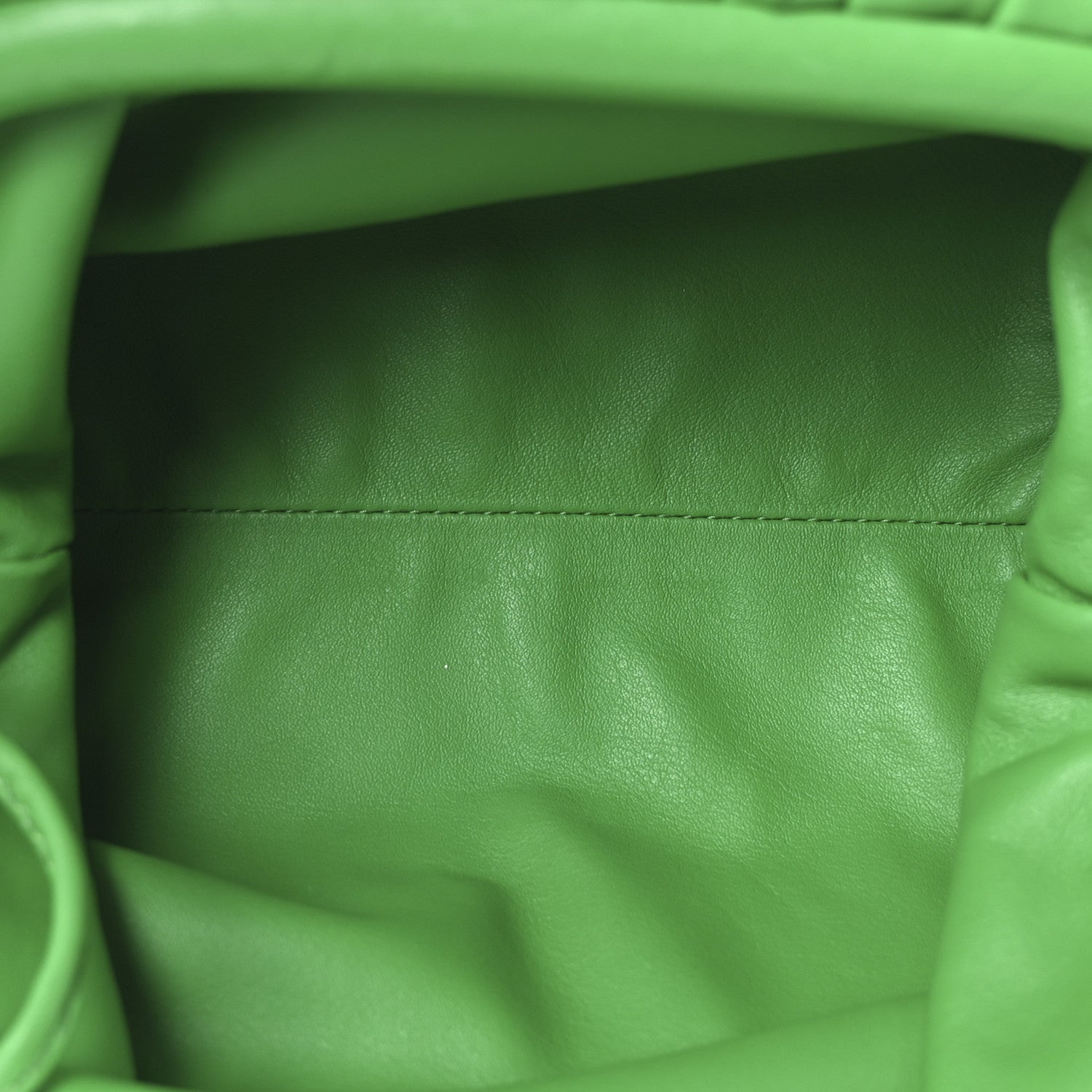 Butter Calfskin The Mini Pouch Parakeet