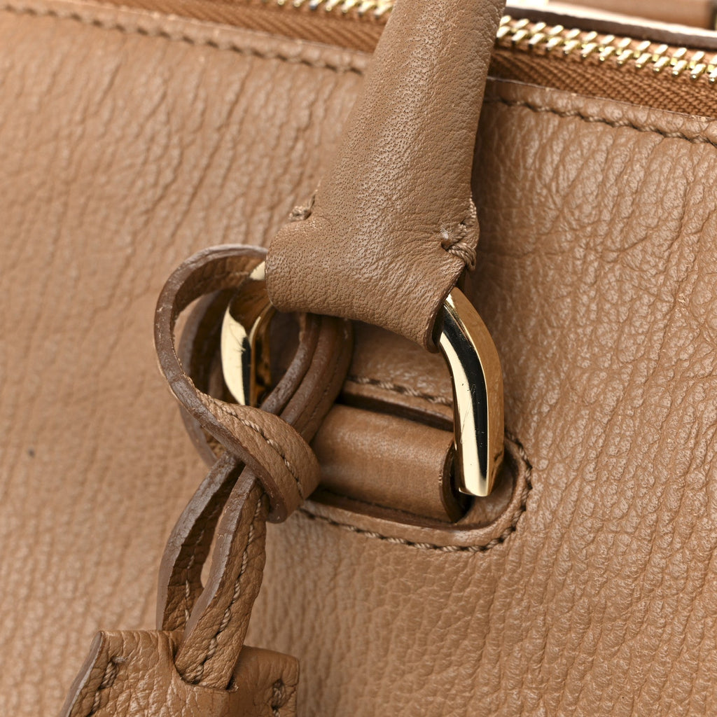 Glossy Goatskin Medium Del Rey Satchel Fudge