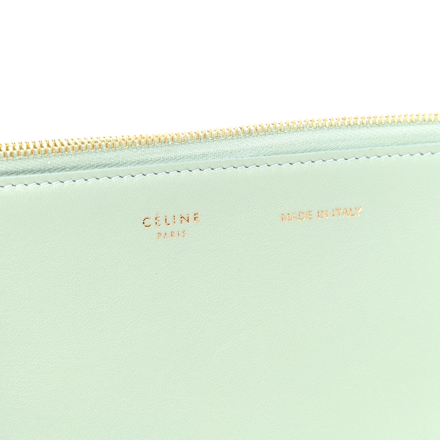 Plastic Bag with Cloudy Lambskin Solo Zip Pouch Clutch Celadon