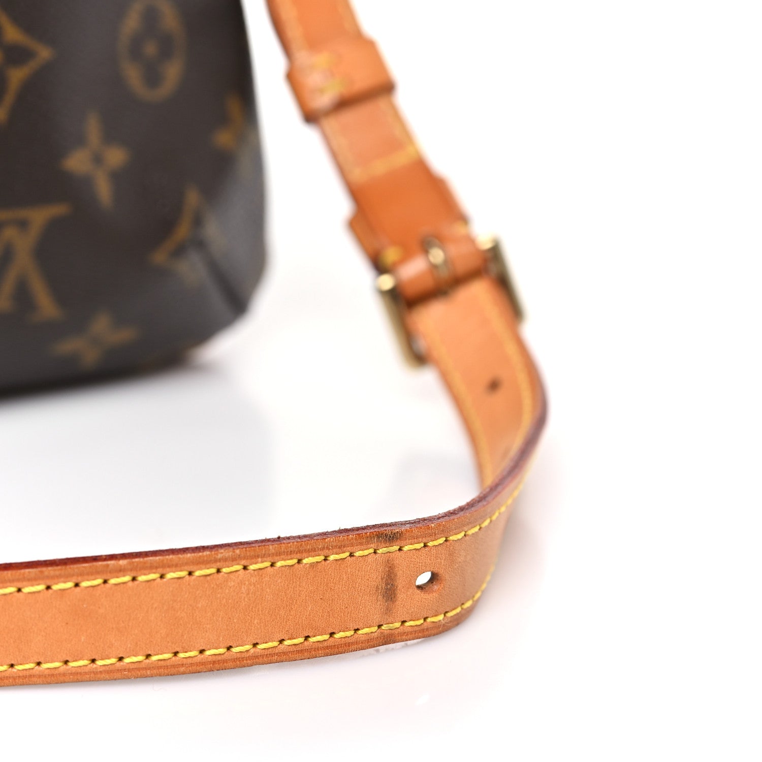 Monogram Musette Salsa