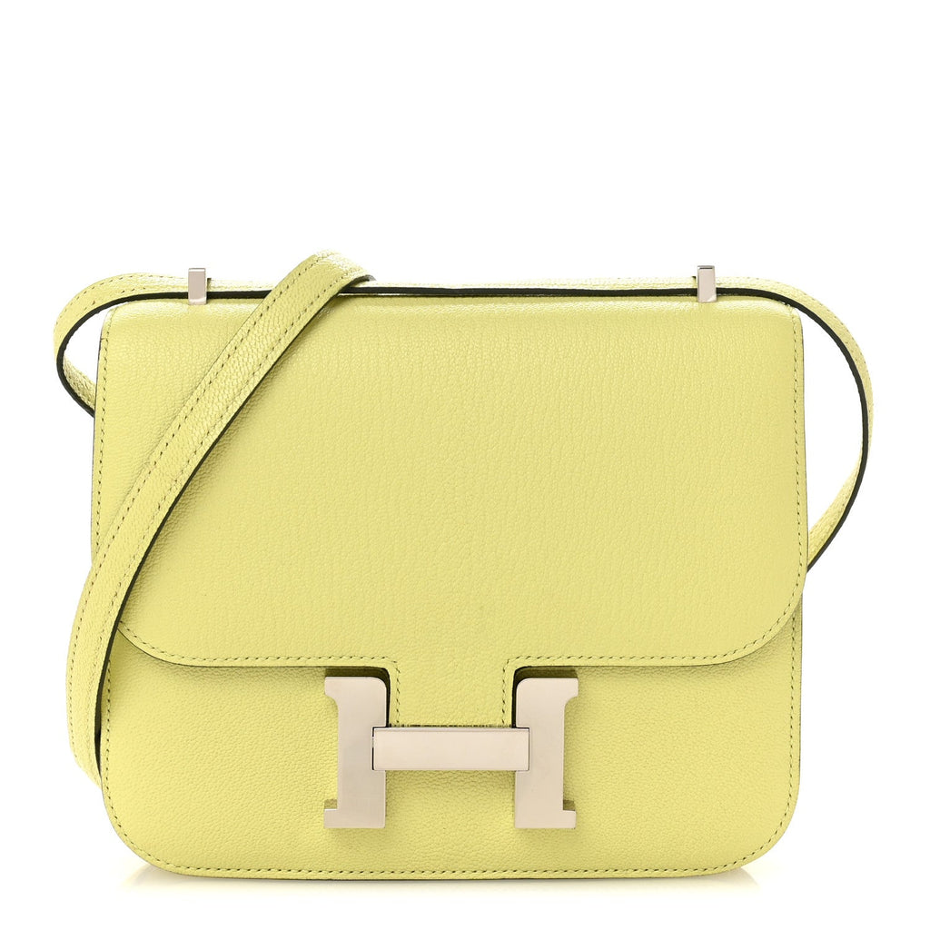 Chevre Mysore Constance 18 Jaune Bourgeon