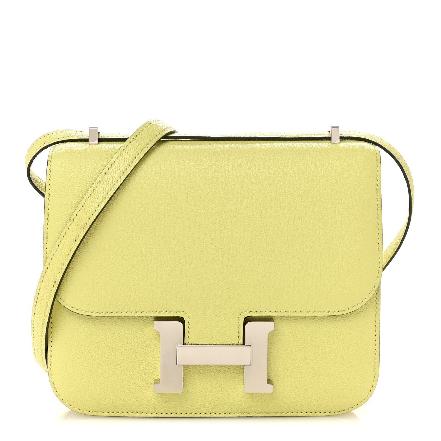 Chevre Mysore Constance 18 Jaune Bourgeon
