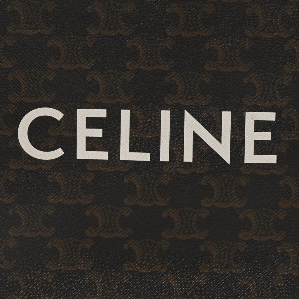 Triomphe Canvas Calfskin Mini Vertical Cabas Tan