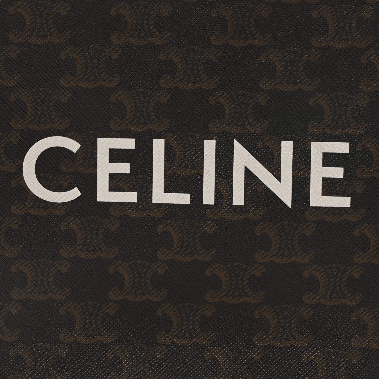Triomphe Canvas Calfskin Mini Vertical Cabas Tan