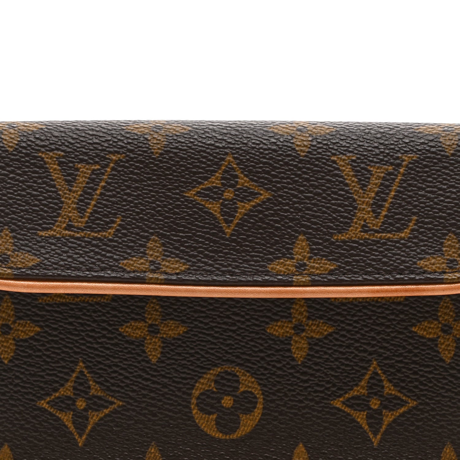 Monogram Pochette Florentine S