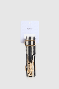 Stripe Webbing Strap