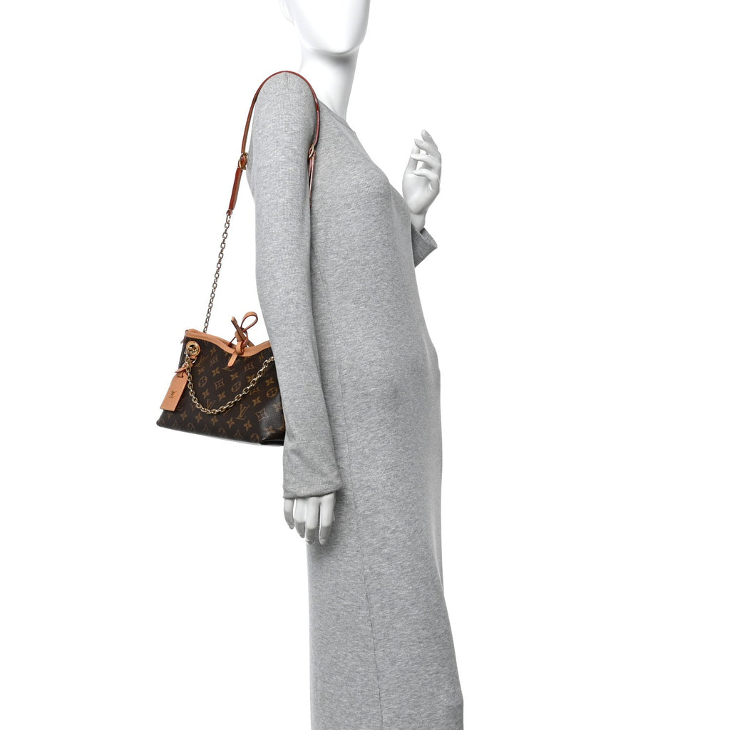 Monogram CarryAll BB
