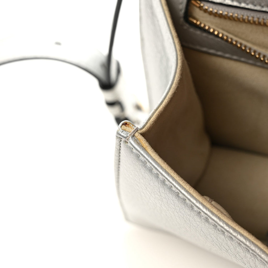 Metallic Grained Calfskin Diorama Wallet on Chain Pouch Silver