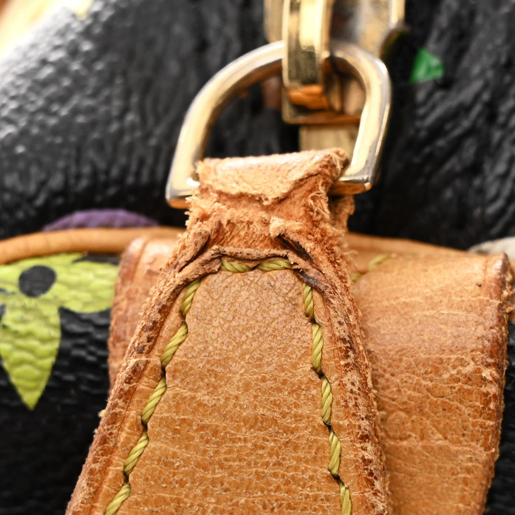 Monogram Multicolor Speedy 30 Black
