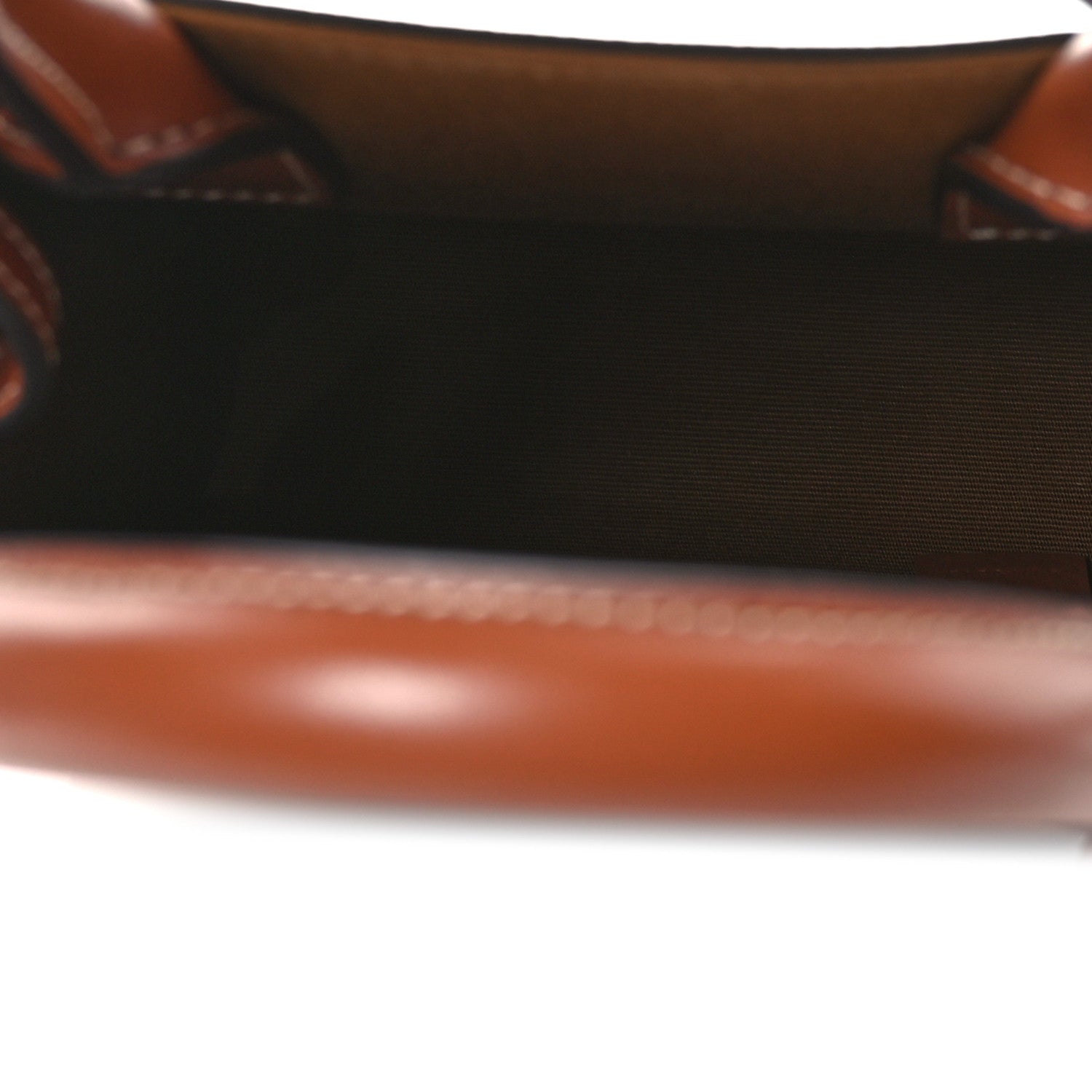 Triomphe Canvas Calfskin Mini Vertical Cabas Tan