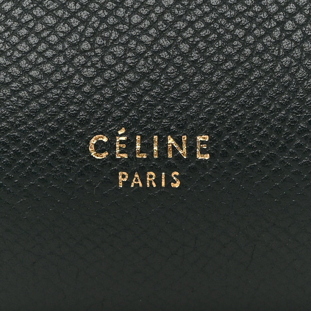 Grained Calfskin Micro Belt Bag Amazone