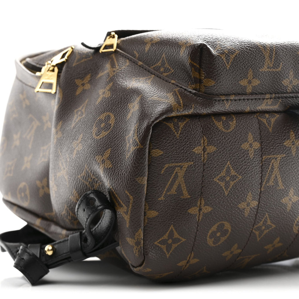 Monogram Palm Springs Backpack MM