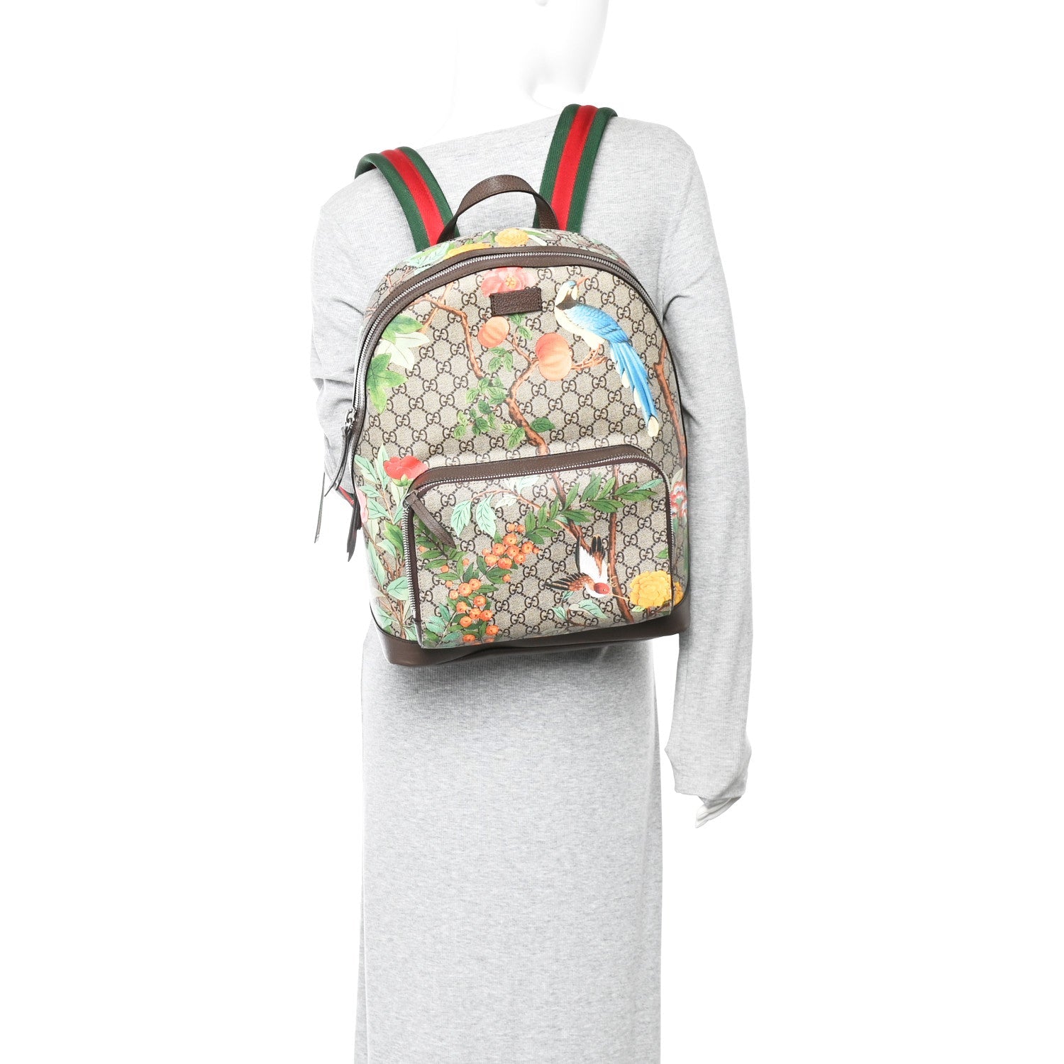 GG Supreme Monogram Tian Web Small Day Backpack Beige Multicolor New Acero