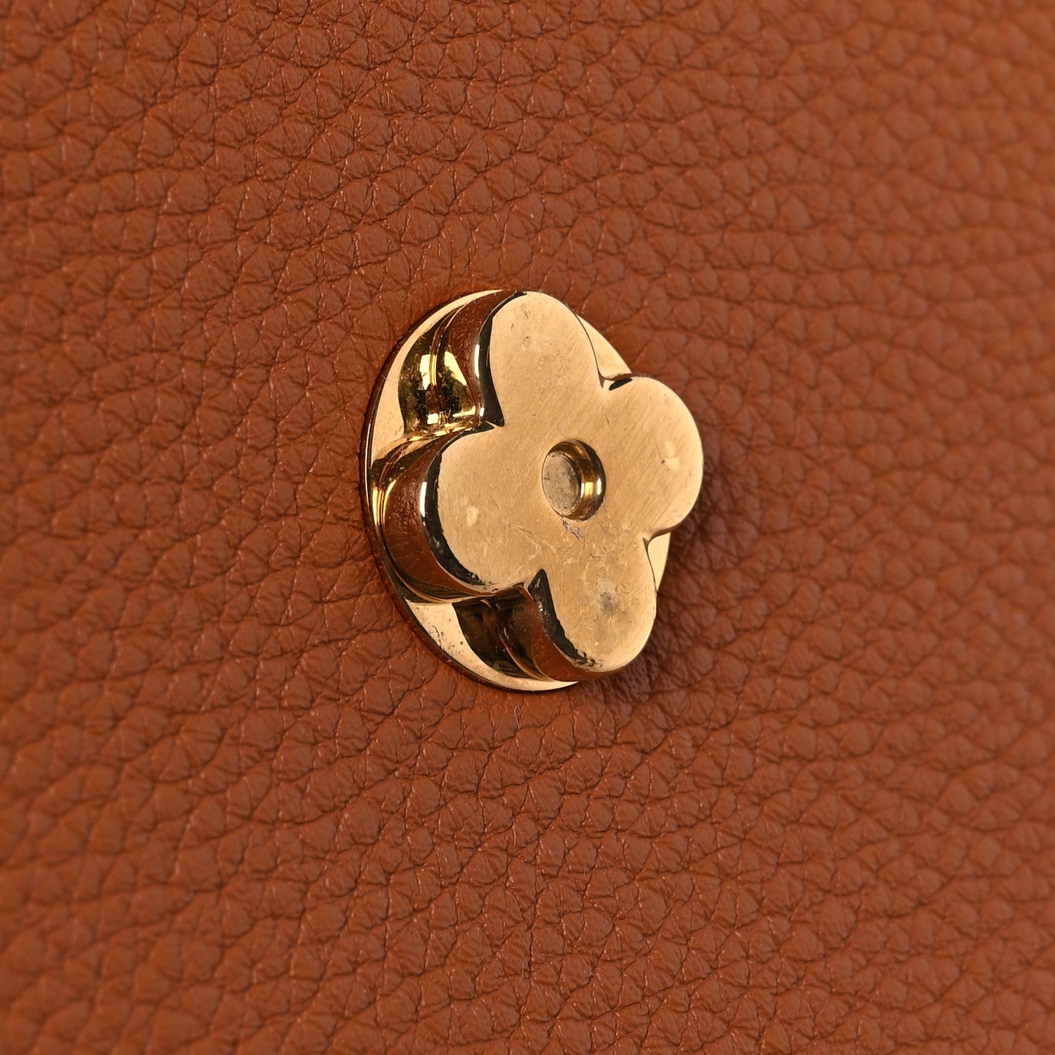 Grained Calfskin LV Pont 9 Soft MM Golden Siena