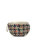 Chanel Cross Body Belt Bag in Multi, Fabric