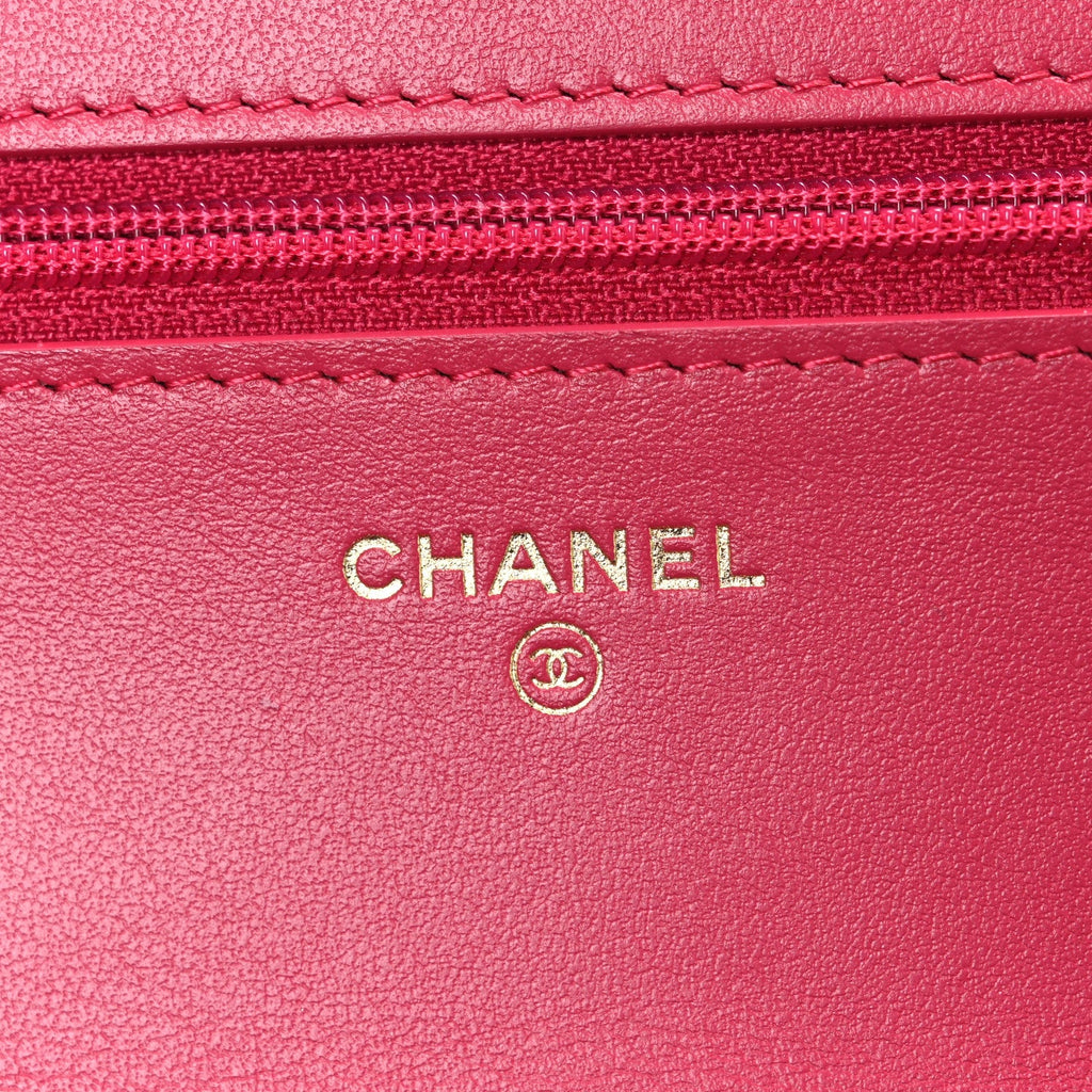 Shiny Goatskin Quilted Chanel 19 Wallet On Chain WOC Pink