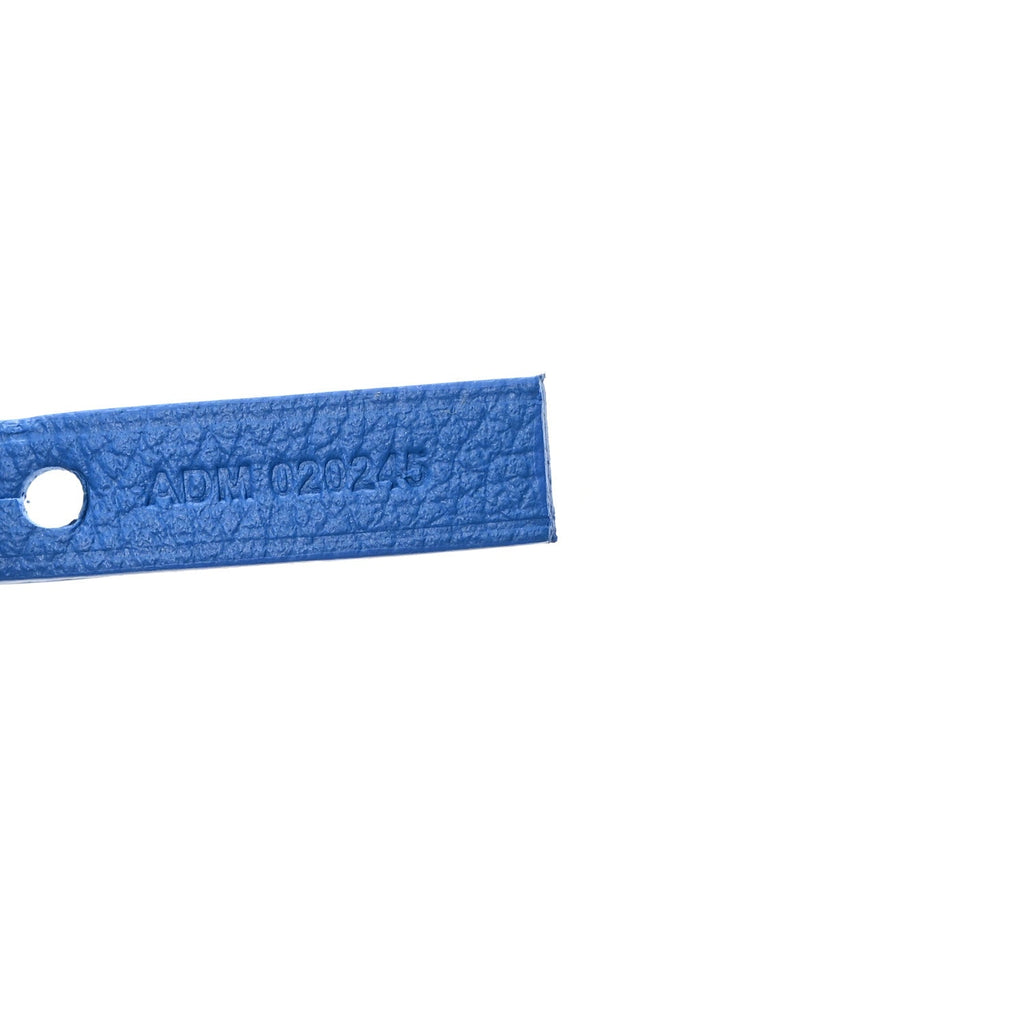Goyardine Hulot Junior Saint Louis PM Sky Blue