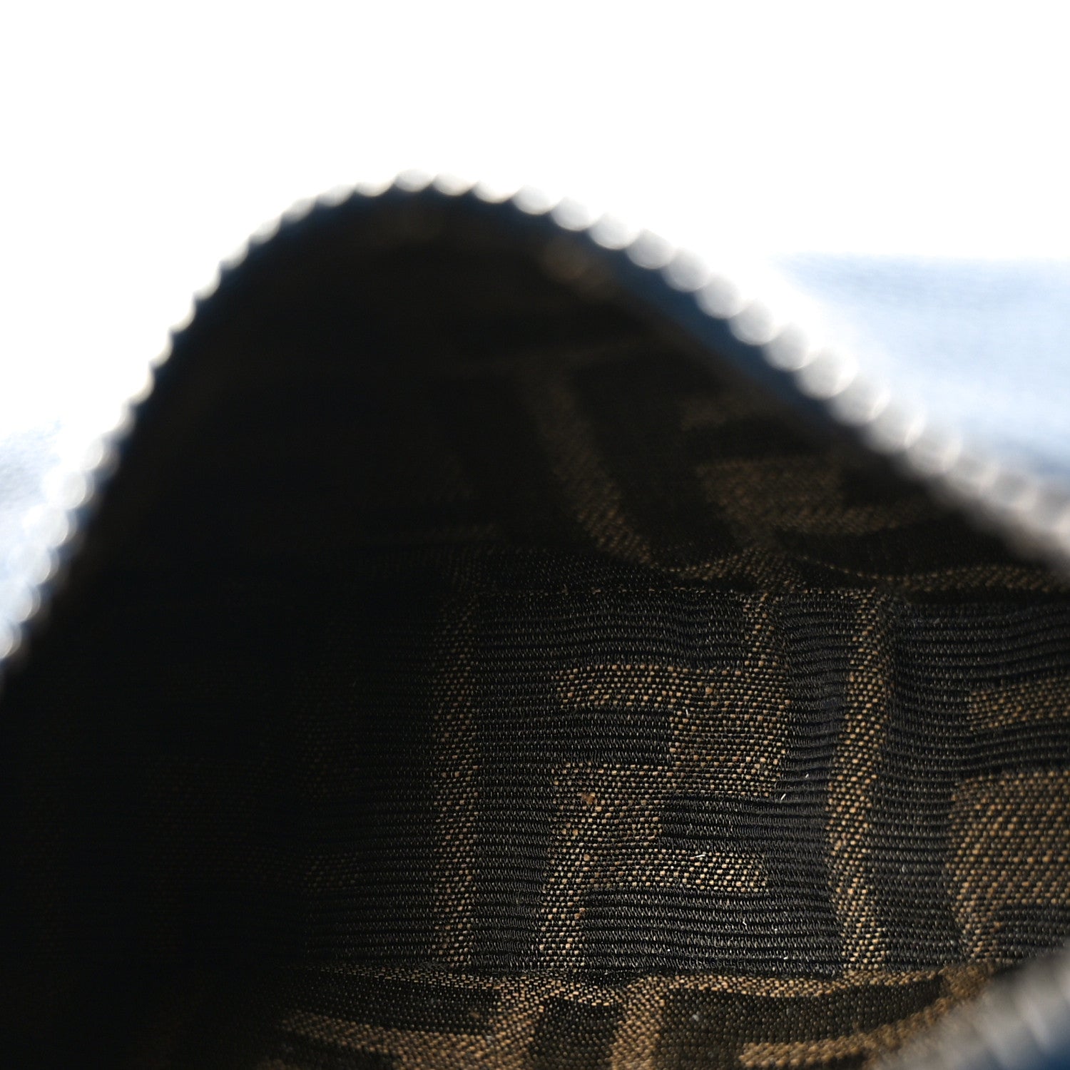 Vitello Grace Matte Nano Fendigraphy Hobo Charm Mirto