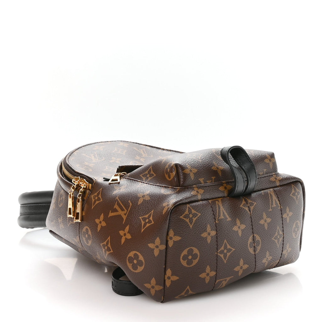 Monogram Palm Springs Backpack PM