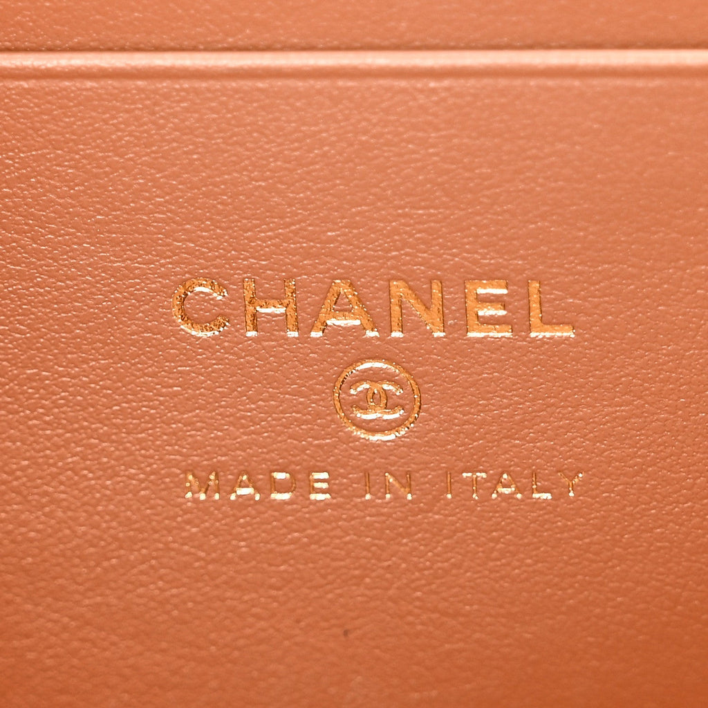 Caviar Quilted Top Handle Slim Vanity With Chain Brown