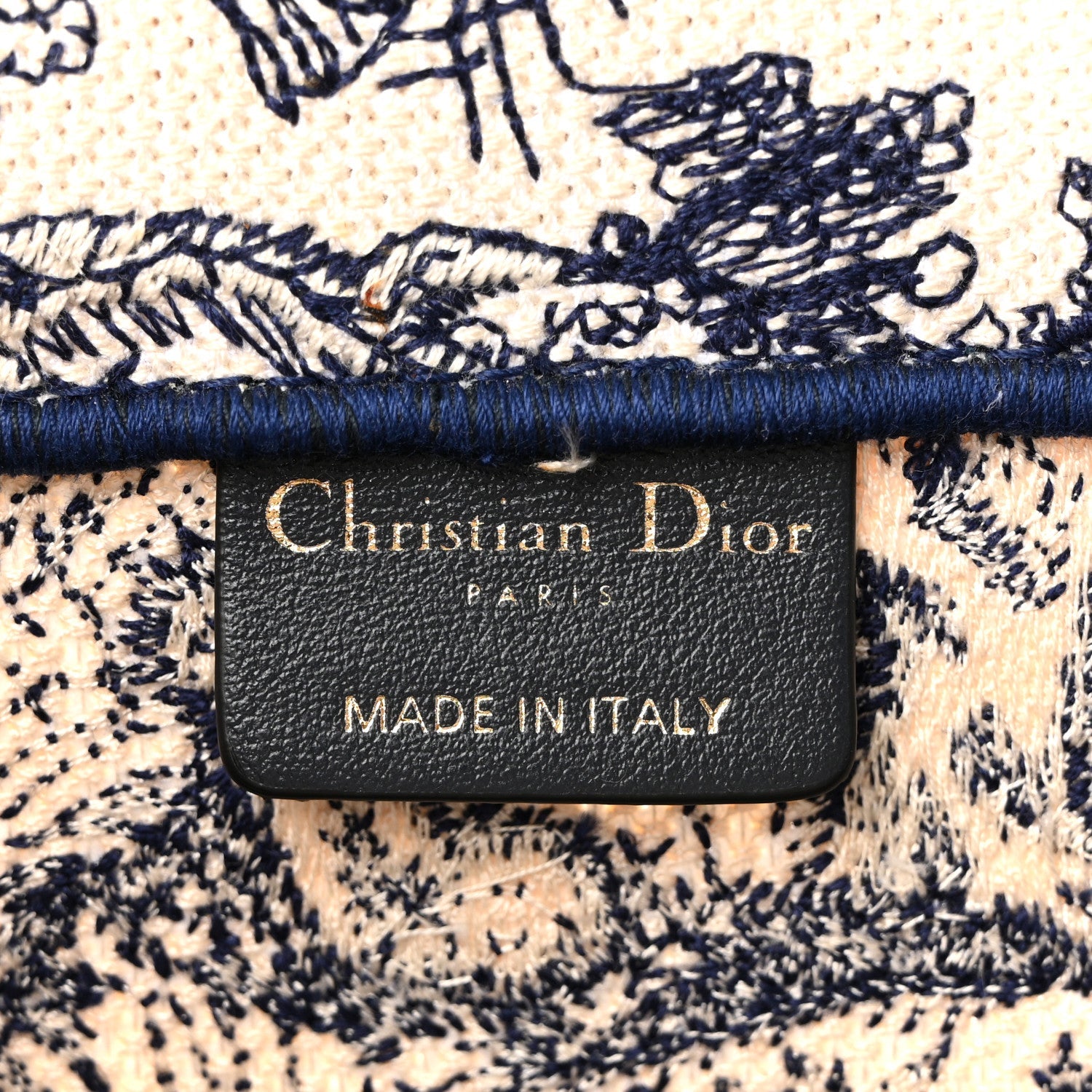 Canvas Embroidered Medium Dioriviera Toile De Jouy Book Tote Blue