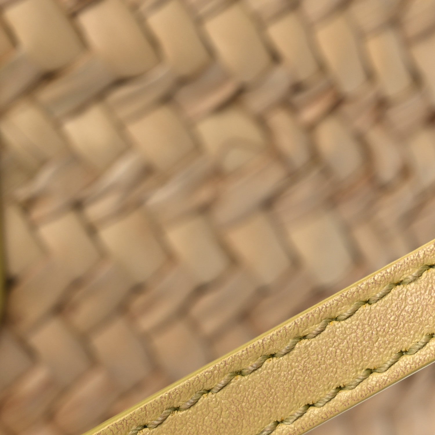 Palm Leaf Raffia Small Macy Tote Natural Sunbleached