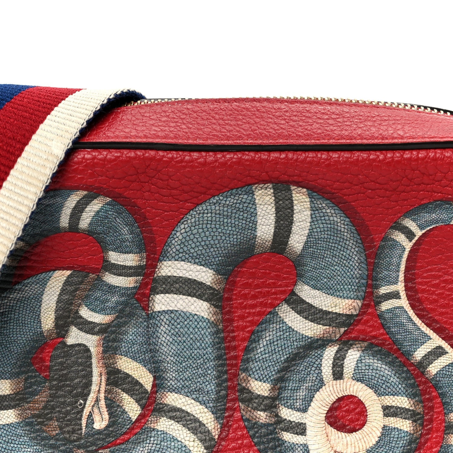 Grained Calfskin Sylvie Web Kingsnake Small Camera Bag Red Multicolor