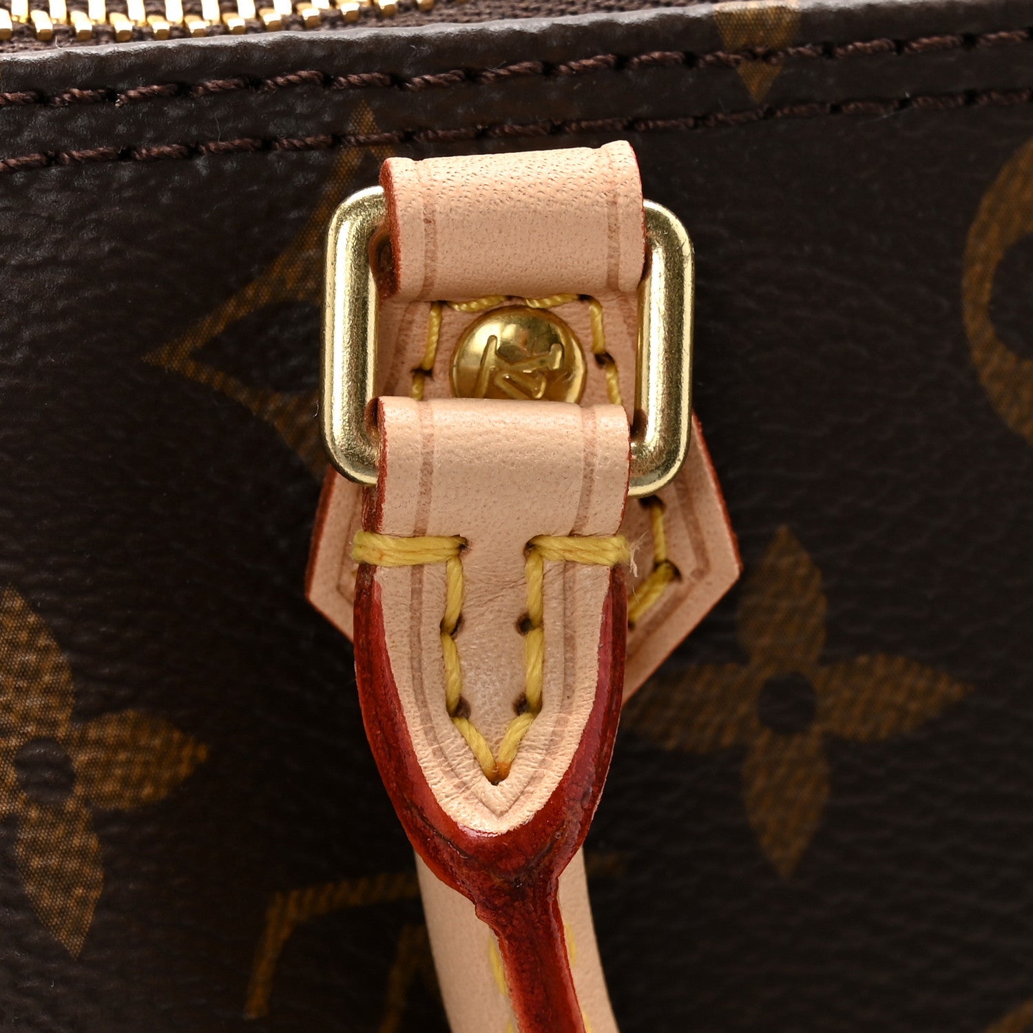 Monogram Nano Speedy