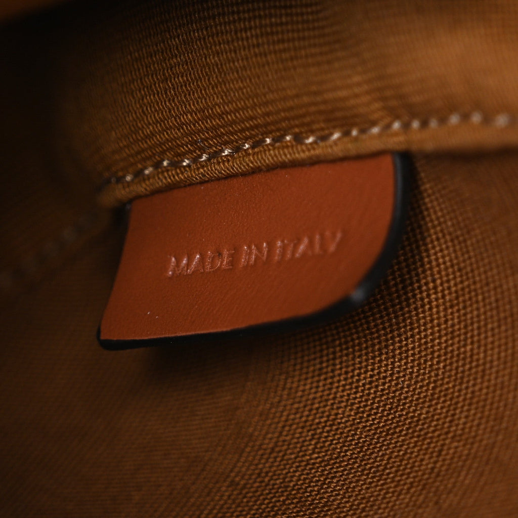 Canvas Calfskin Triomphe Mini Besace Tan