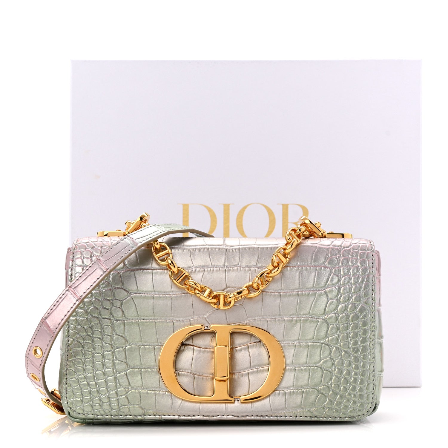 Metallic Alligator Small Caro Bag Multicolor