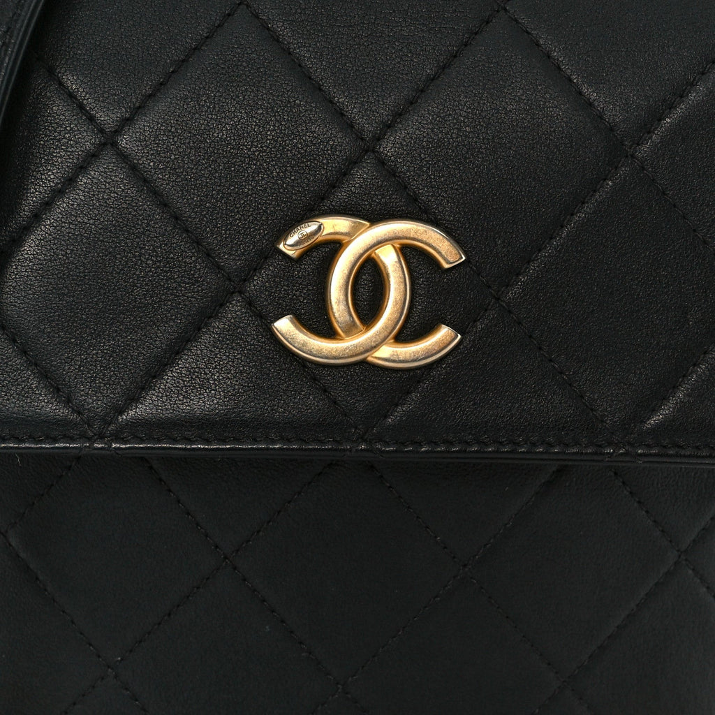 Calfskin Quilted Pearl Small About Pearls Hobo Bag Black