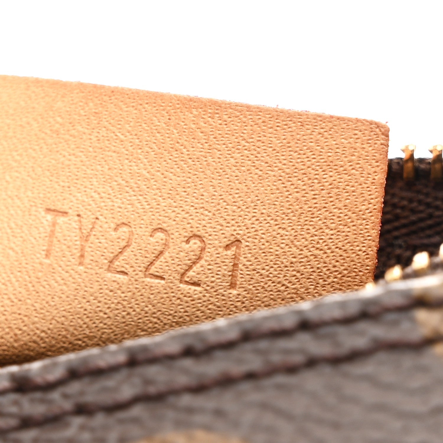 Monogram Nano Speedy