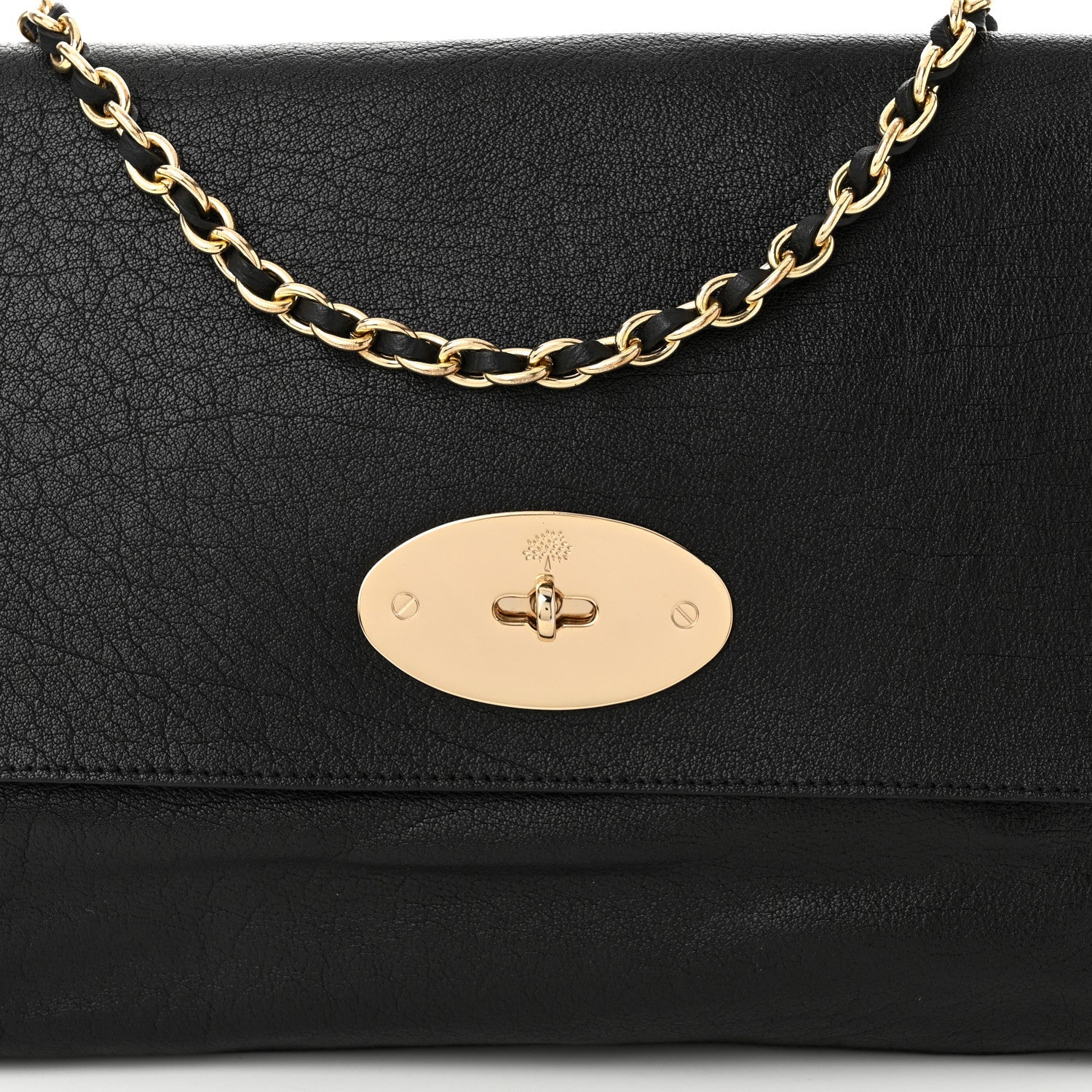 Shiny Buffalo Lily Black